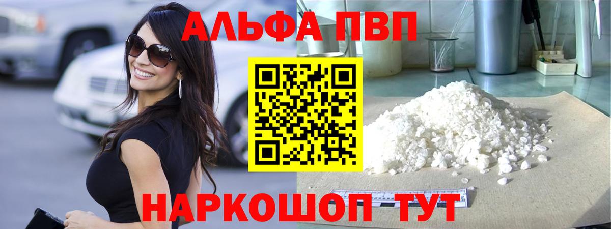 Alfa_PVP СК КРИС Великий Новгород